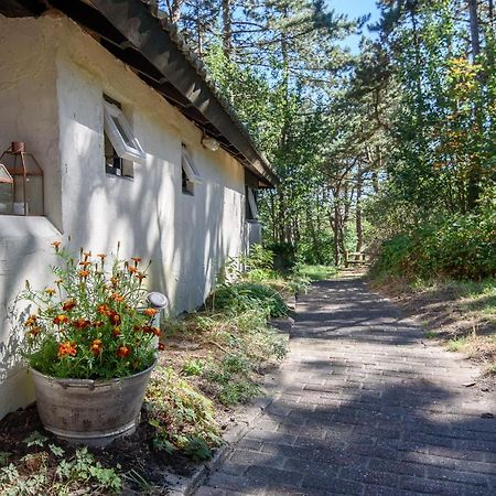 Folkshegeskoalle Schylgeralan Хорн Экстерьер фото