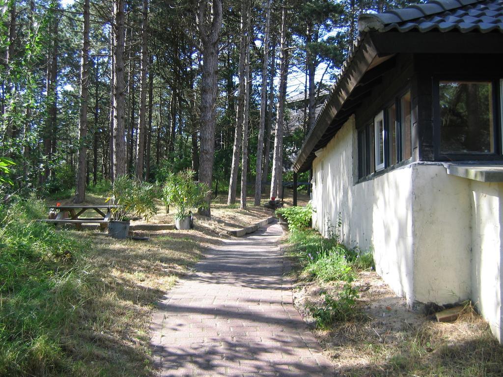 Folkshegeskoalle Schylgeralan Хорн Экстерьер фото